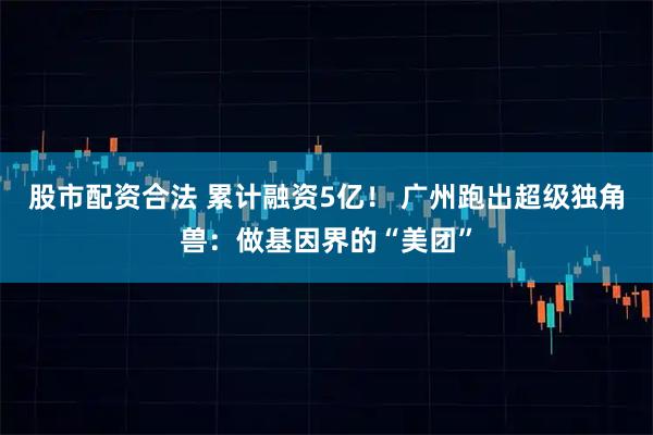 股市配资合法 累计融资5亿！ 广州跑出超级独角兽：做基因界的“美团”
